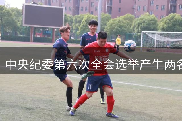 中央纪委第六次全会选举产生两名新任副书记