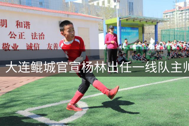 大连鲲城官宣杨林出任一线队主帅