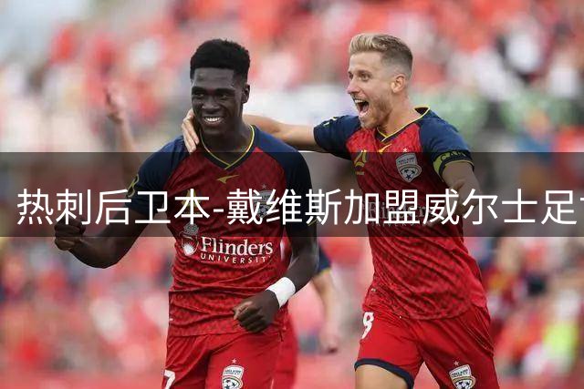 热刺后卫本-戴维斯加盟威尔士足协理事会