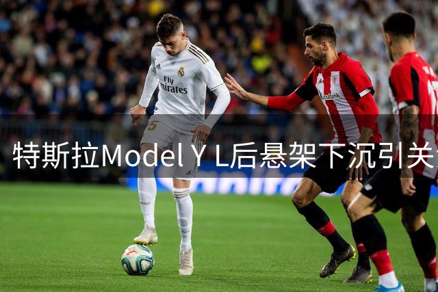 特斯拉Model Y L后悬架下沉引关注 客服承诺积极处理
