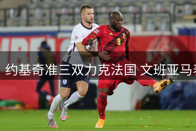 约基奇准三双力克法国 文班亚马表现失常仅得10分